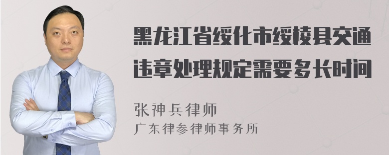 黑龙江省绥化市绥棱县交通违章处理规定需要多长时间