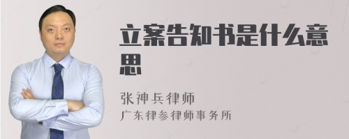 立案告知书是什么意思