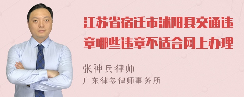 江苏省宿迁市沭阳县交通违章哪些违章不适合网上办理