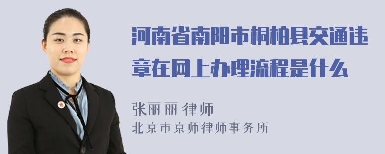 河南省南阳市桐柏县交通违章在网上办理流程是什么