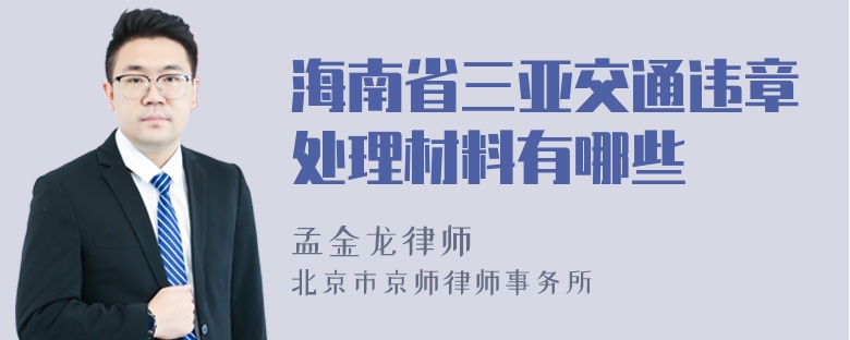 海南省三亚交通违章处理材料有哪些