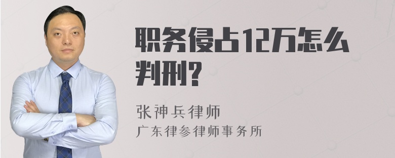 职务侵占12万怎么判刑?