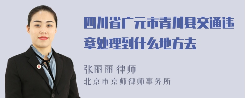 四川省广元市青川县交通违章处理到什么地方去