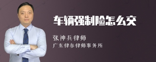 车辆强制险怎么交