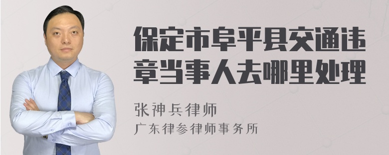 保定市阜平县交通违章当事人去哪里处理