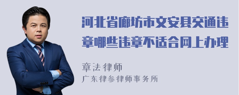 河北省廊坊市文安县交通违章哪些违章不适合网上办理