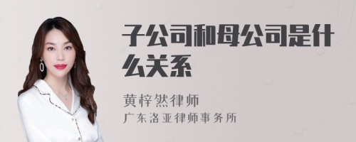 子公司和母公司是什么关系