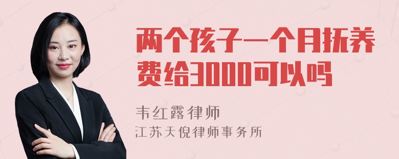 两个孩子一个月抚养费给3000可以吗