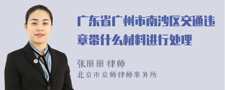 广东省广州市南沙区交通违章带什么材料进行处理