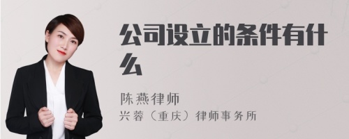 公司设立的条件有什么