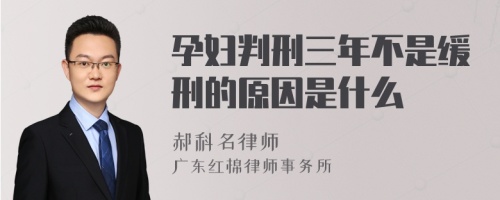 孕妇判刑三年不是缓刑的原因是什么