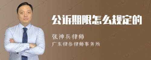 公诉期限怎么规定的