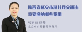 陕西省延安市延长县交通违章要缴纳哪些费用