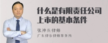 什么是有限责任公司上市的基本条件