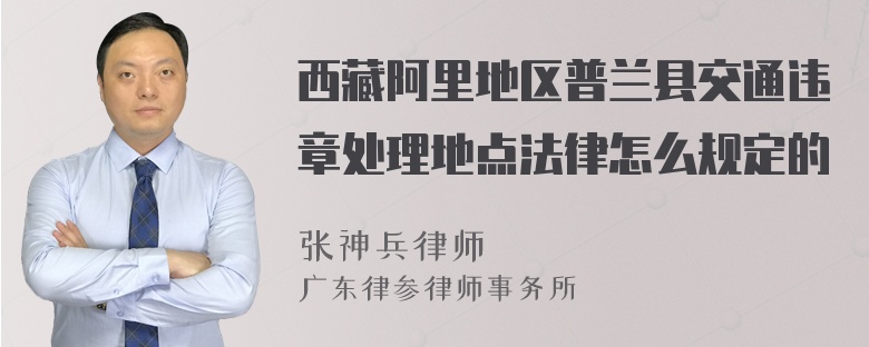 西藏阿里地区普兰县交通违章处理地点法律怎么规定的