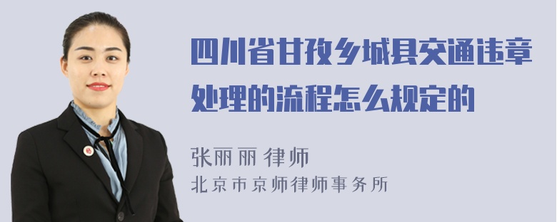 四川省甘孜乡城县交通违章处理的流程怎么规定的