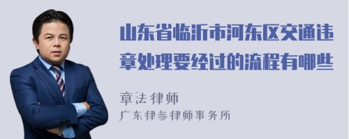 山东省临沂市河东区交通违章处理要经过的流程有哪些