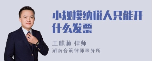 小规模纳税人只能开什么发票