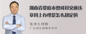 湖南省娄底市双峰县交通违章网上办理是怎么规定的