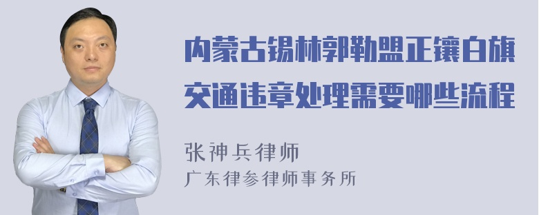 内蒙古锡林郭勒盟正镶白旗交通违章处理需要哪些流程