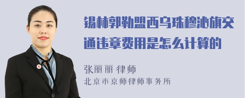 锡林郭勒盟西乌珠穆沁旗交通违章费用是怎么计算的