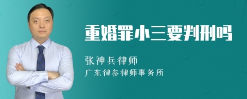 重婚罪小三要判刑吗