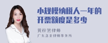 小规模纳税人一年的开票额度是多少