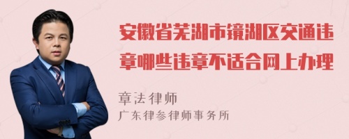 安徽省芜湖市镜湖区交通违章哪些违章不适合网上办理