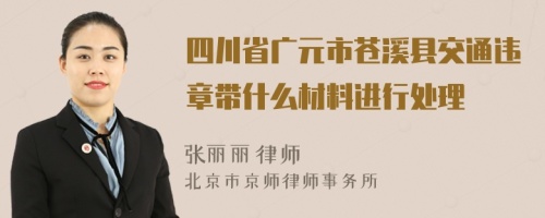 四川省广元市苍溪县交通违章带什么材料进行处理