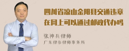 四川省凉山金阳县交通违章在网上可以通过邮政代办吗