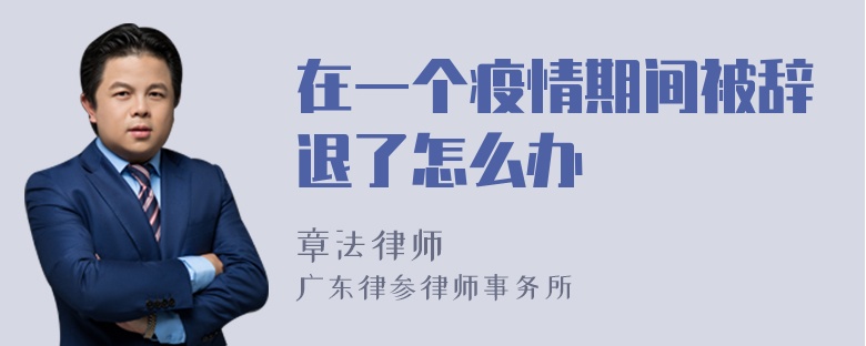 在一个疫情期间被辞退了怎么办