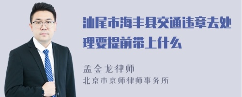 汕尾市海丰县交通违章去处理要提前带上什么