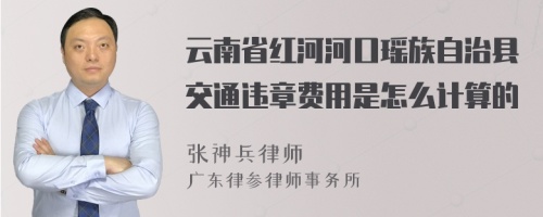 云南省红河河口瑶族自治县交通违章费用是怎么计算的