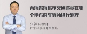 青海省海东市交通违章在哪个地方的车管所进行处理