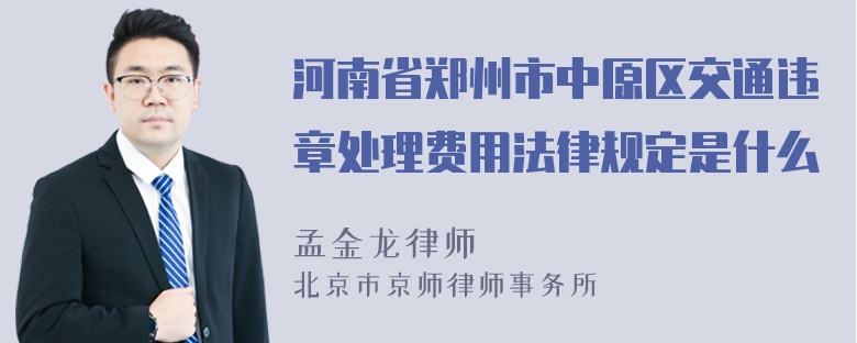 河南省郑州市中原区交通违章处理费用法律规定是什么