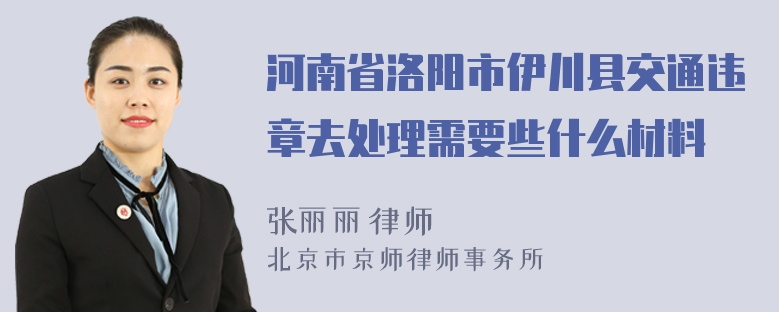 河南省洛阳市伊川县交通违章去处理需要些什么材料