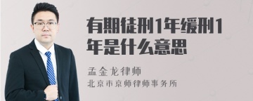 有期徒刑1年缓刑1年是什么意思