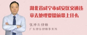 湖北省咸宁市咸安区交通违章去处理要提前带上什么