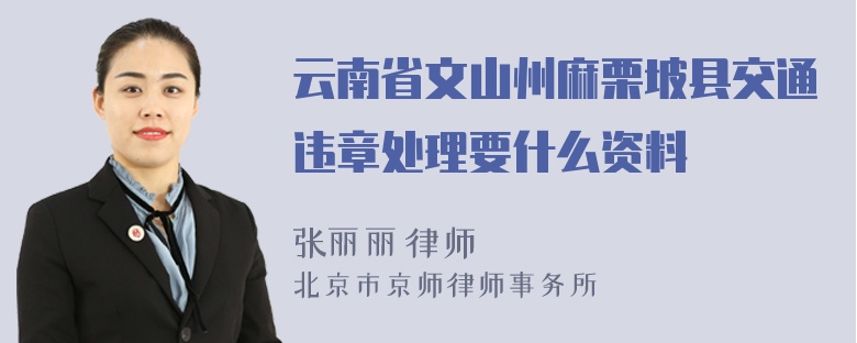 云南省文山州麻栗坡县交通违章处理要什么资料