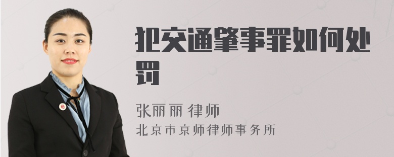 犯交通肇事罪如何处罚