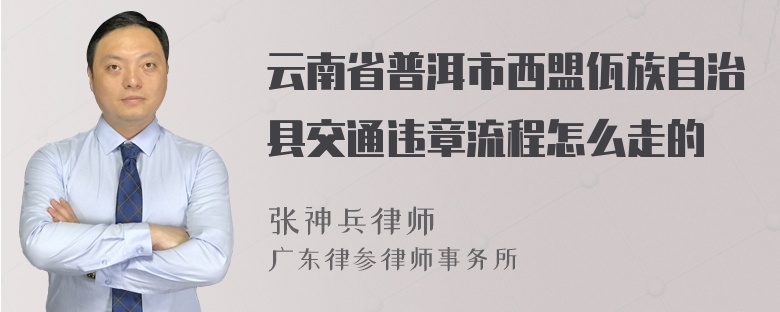 云南省普洱市西盟佤族自治县交通违章流程怎么走的