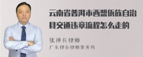 云南省普洱市西盟佤族自治县交通违章流程怎么走的