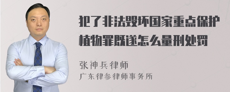 犯了非法毁坏国家重点保护植物罪既遂怎么量刑处罚