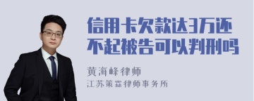 信用卡欠款达3万还不起被告可以判刑吗