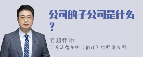 公司的子公司是什么？