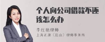 个人向公司借款不还该怎么办