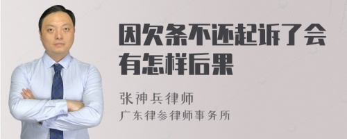 因欠条不还起诉了会有怎样后果