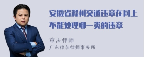 安徽省滁州交通违章在网上不能处理哪一类的违章