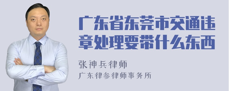 广东省东莞市交通违章处理要带什么东西