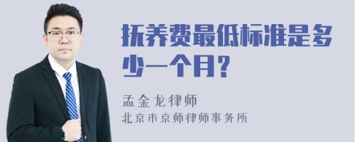 抚养费最低标准是多少一个月？